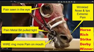 Kentucky Derby Winner Punched  Horse Only Won A Life Of Misery  The True Dark Side Of Horse Racing [upl. by Aynat]