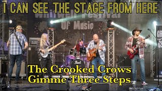 The Crooked Crows  Gimme Three Steps [upl. by Varian763]