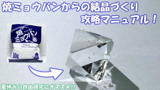 焼ミョウバンからの結晶づくり 攻略マニュアル！【夏休みの自由研究にオススメ！】 [upl. by Ahrat]