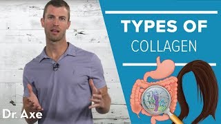 Types of Collagen with Jordan Rubin [upl. by Noevart]