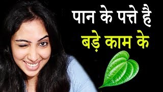 जरूर देखिये मुझे पान के पत्ते क्यों पसंद है │Pan Ke Patte Ke Fayde│Betel Leaves Benefits Life Care [upl. by Nnylsoj]