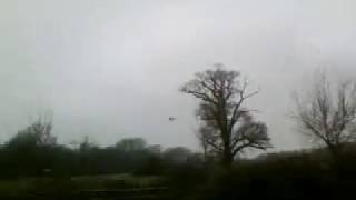 Barn Owl in Binsted Park no Option 5A [upl. by Enoed]