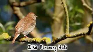 Zikir Penenang Hati Hijjaz [upl. by Bashee]