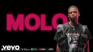 Aubrey Qwana  Molo Official Lyric Video [upl. by Enalda]