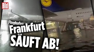 Nichts geht mehr am Frankfurter Flughafen Flugzeuge bleiben durch Sturm am Boden [upl. by Analaf]