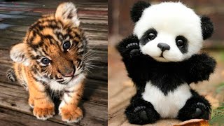 Cute baby animals Videos Compilation cute moment of the animals  Cutest Animals 2 [upl. by Airlie]