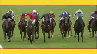 2016 Qatar Goodwood Festival  Day 4 Highlights [upl. by Anialam335]