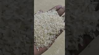 Rice🌾🍚keralarice ricemill videohow to make riceponni ricefoodtamilnadumadurai ricericemills [upl. by Childs]