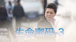 通过生日数字揭秘命运轨迹  生命密码3 [upl. by Freida]