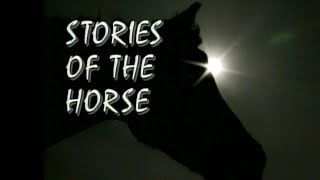 Stories of the Horse  SDPB Documentary [upl. by Bow]