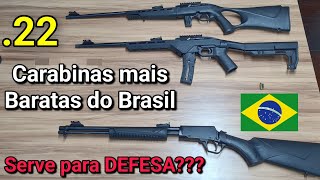 Carabina 22 para DEFESA Funciona ou Não Tipos de Rifles e Melhor Munição Calibre 22 LR [upl. by Akili]