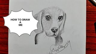 How to draw a dog step by step  Dog sketch  golden lab puppy  Animal sketch drawing  art [upl. by Nohs]