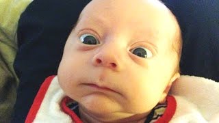 Best Of Funny Babies Scared Of Toys Compilation 2016 [upl. by Browning22]