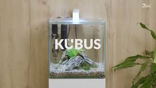 NEW WHITE COLOUR  KUBUS AQUARIUM RANGE aquarium fishtank aquariumfish aquatlantis [upl. by Torry]