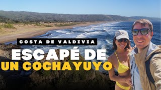 Recorriendo la SELVA VALDIVIANA y sus PLAYAS escondidas 🤫🏖️🇨🇱 Episodio 01 chile surdechile [upl. by Skinner]