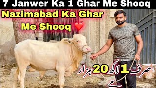 Nazimabad Ka Ghar Me 2025 Qurbani Ki Sale Laga Di❤️  7 Janwer Ka Shooq  Qurbani 2025 [upl. by Hawkie]