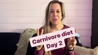 Day 2  Carnivore Diet [upl. by Nayhr]