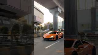 Lamborghini Huracan youtube youtubeshorts sportscar lamborghini [upl. by Materse]