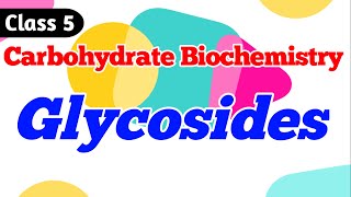 Glycosides  What are Glycosides Carbohydrate Biochemistry Class 5 [upl. by O'Gowan]