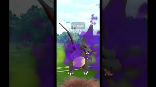 Most Satisfying Shadow Charizard Flip in Ultra League  Pokemon Go [upl. by Anawot]