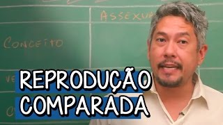 O que é Reprodução Comparada  Extensivo Biologia  Descomplica [upl. by Hoffman]