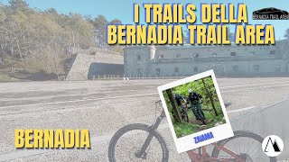 Bernadia Trail Area Zaiama RAW mtbfriuli [upl. by Lorrimor]