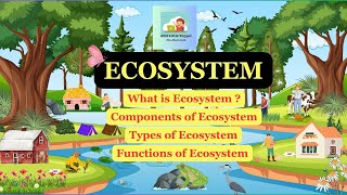 What is Ecosystem Types amp Components of Ecosystem  Functions of Ecosystem  Environmental Science [upl. by Chere]