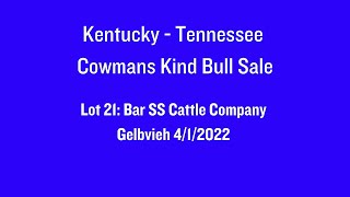 Lot 21 2024 KentuckyTennessee Cowmans Kind Bull Sale  Bar SS Cattle Company [upl. by Eidderf]