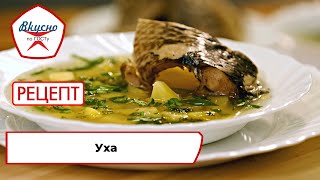 Уха  Рецепт  Вкусно по ГОСТу 2023 [upl. by Malissia]