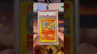 Moltres holo from Skyridge PSA 10 pickup skyridge moltres [upl. by Cleopatra]