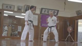 Okinawa Shorin Ryu Seibukan Karate [upl. by Jadda]