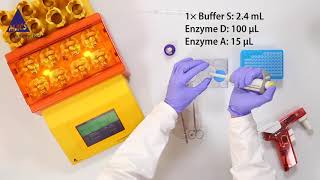 How to prepare viable single cell suspensions from mouse lung tissue [upl. by Peppel]