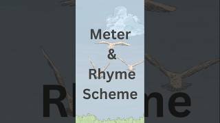 Meter  Rhyme Scheme  English Literature notes  shorts youtubeshorts [upl. by Hughett567]