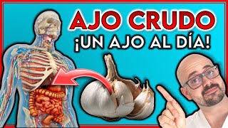 ¡Esto OCURRE al tomar AJO CRUDO en AYUNAS  7 BENEFICIOS que DESCONOCIAS del AJO CRUDO [upl. by Karp]