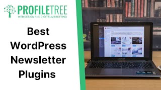 Best WordPress Newsletter Plugins  WordPress Plugin  WordPress Tutorial  Build WordPress Website [upl. by Ayrb147]