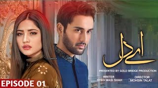 Aye Dil  Episode 01  Neelam Muneer and Affan Waheed  Pkaistani New Drama [upl. by Esma]