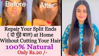 HOW I REPAIR MY SPLIT ENDS AT HOME   दो मुँहे बाल Split Ends Treatment At Home Splitends [upl. by Foy]