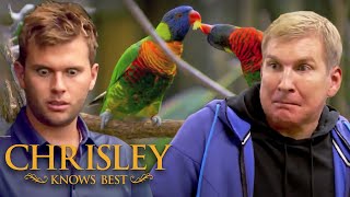 The Chrisley Family’s Funniest Animal Encounters  Chrisley Knows Best  USA Network [upl. by Bab]