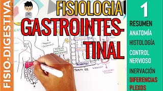 FISIOLOGIA GASTROINTESTINAL  RESUMEN Estructura Control Nervioso SN ENTERICO Sistema Digestivo1 [upl. by Theresita]