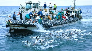 Inside the World of Massive Bottom Trawling Hundreds of Tons in a Single Catch [upl. by Keary]