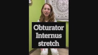 Obturator Internus Progression Stretches [upl. by Cele]