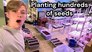 I planted hundreds of seeds [upl. by Inajna]