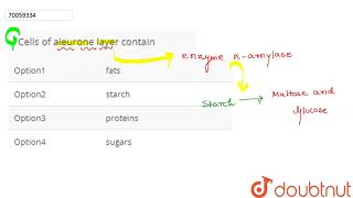 Cells of aleurone layer contain [upl. by Jessen755]