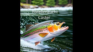 Forellenzucht Caster [upl. by Ivad578]