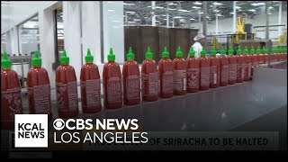 Sriracha production is halted until after Labor Day [upl. by Anaibaf]