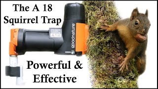 The A18 Squirrel Destroyer  A Powerful amp Effective CO2 Squirrel Trap  Mousetrap Monday [upl. by Leasia]