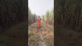 Kabootri  diler kharkiya  kit chali haryanvi song 2024 trending viralvideo shorts shortsfeed [upl. by Lezirg966]