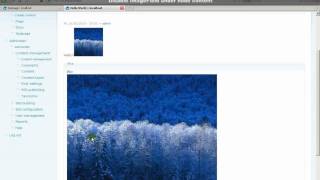 Drupal Tutorial  Using Images in Nodes [upl. by Mozart447]