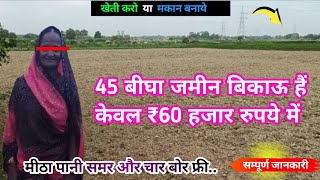 45 बिघा जमीन बिकाऊ है केवल ₹60 हजार रुपए में agriculture land for sale [upl. by Oicnanev]