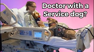 Ask Me Anything  DOCTOR with SERVICE DOG [upl. by Bascomb543]